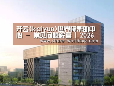 案例展示四
